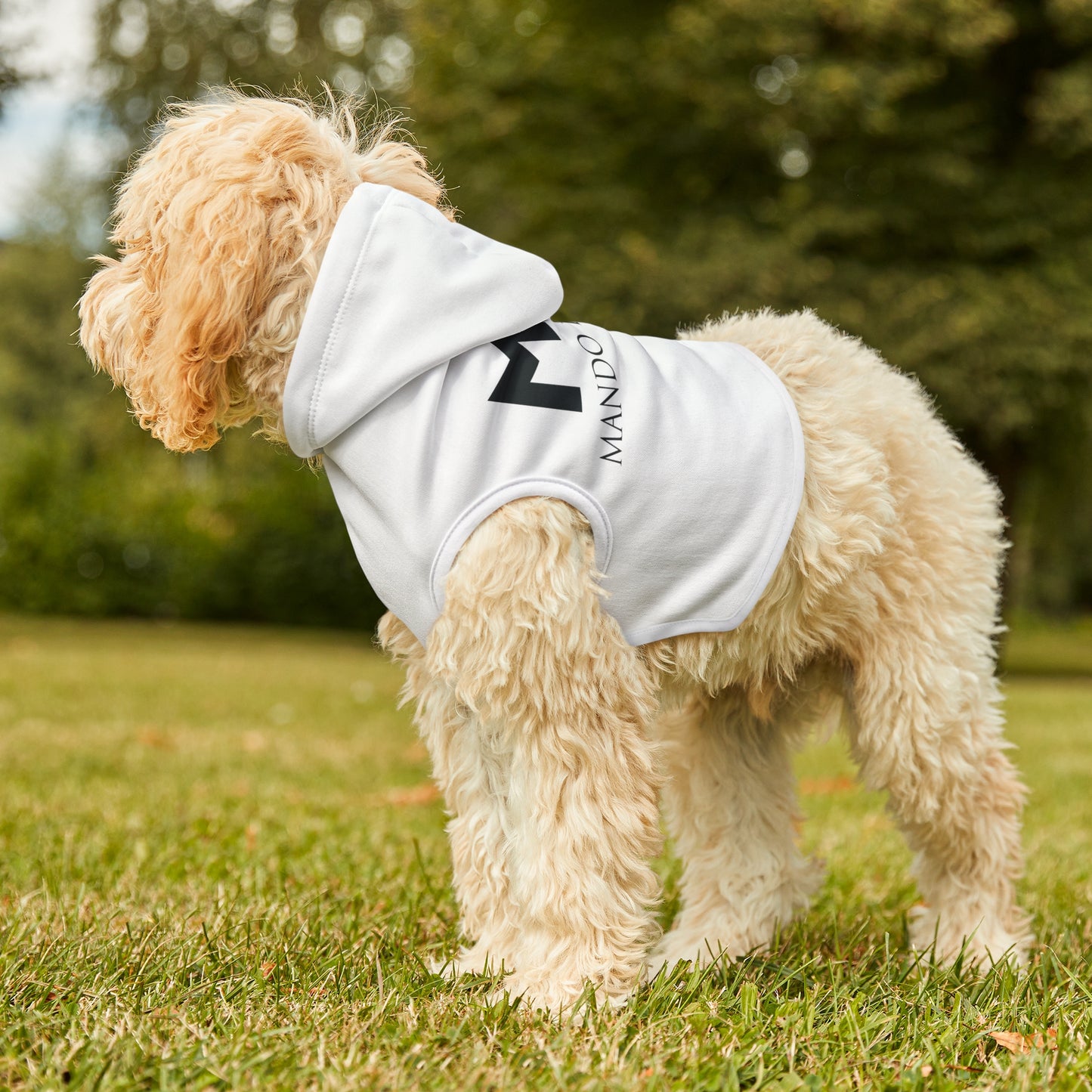 Pet Hoodie